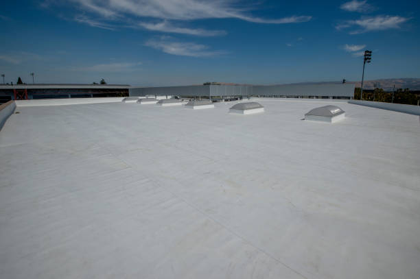 Gutter Replacement in Muleshoe, TX