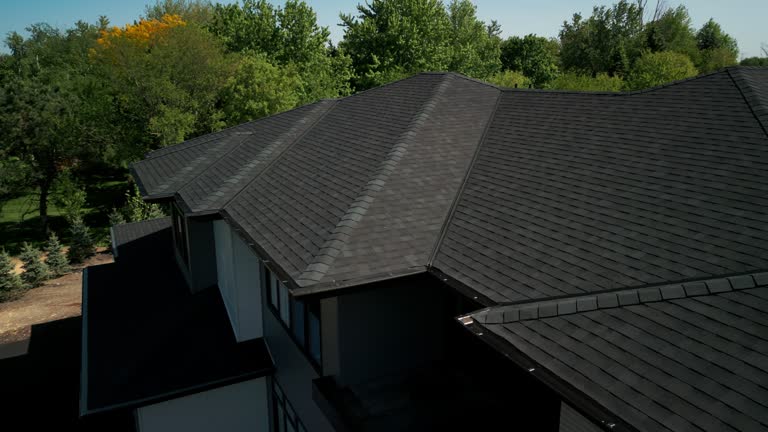 Best Solar Panel Roofing Installation  in Muleshoe, TX