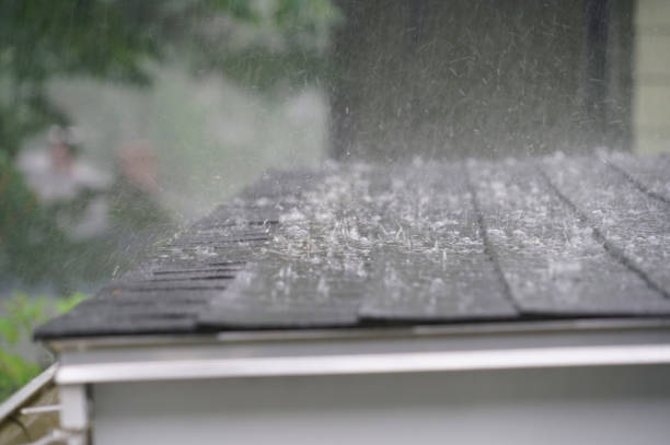 Professional Roofing in Muleshoe, TX