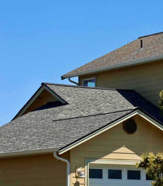 Fast & Reliable Emergency Roof Repairs in Muleshoe, TX